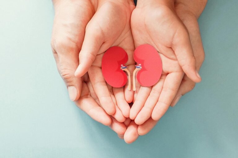 SC Transplantes promove capacitações para doação de órgãos