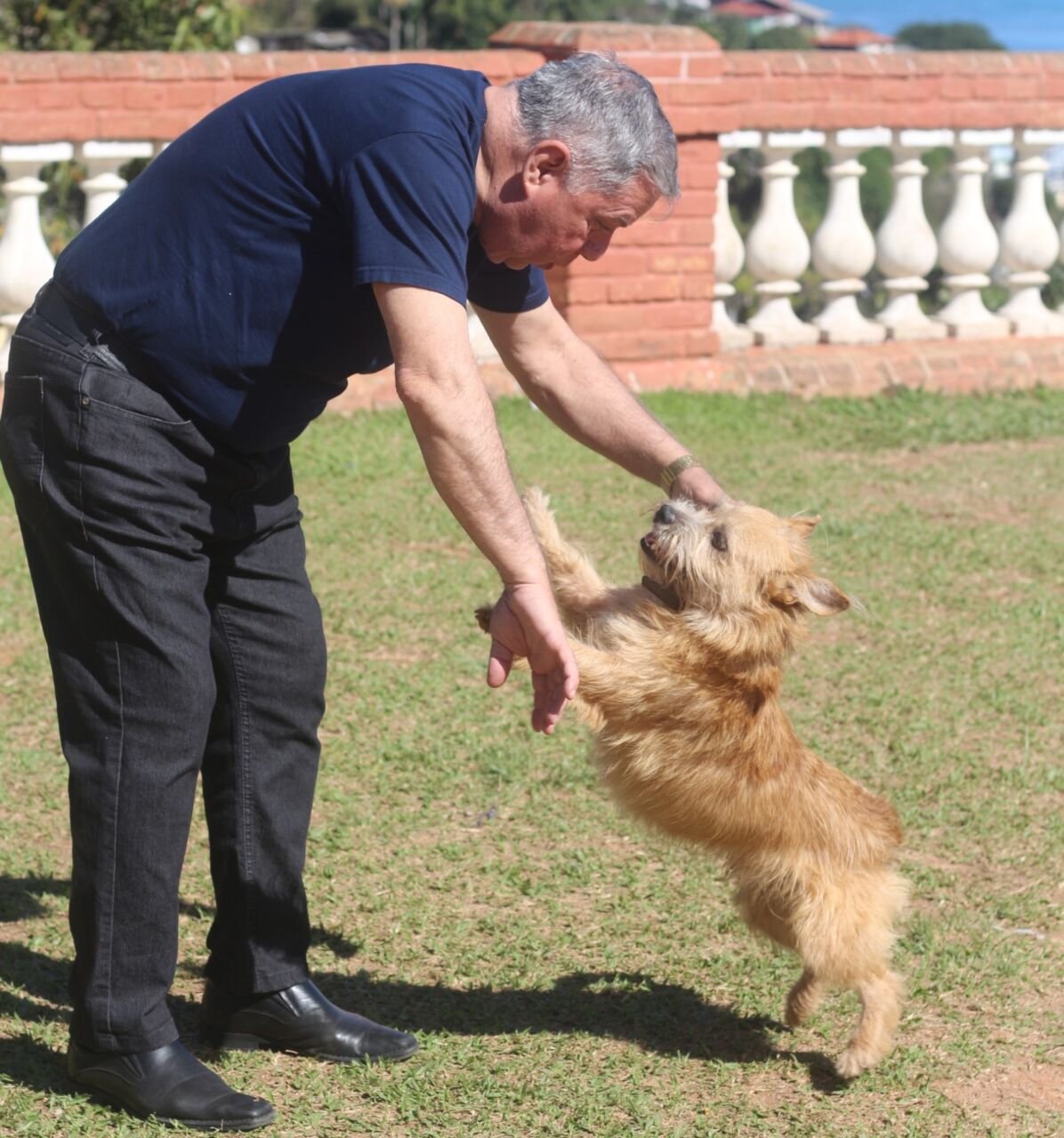 Dia Estadual de Conscientização sobre a Castração Animal