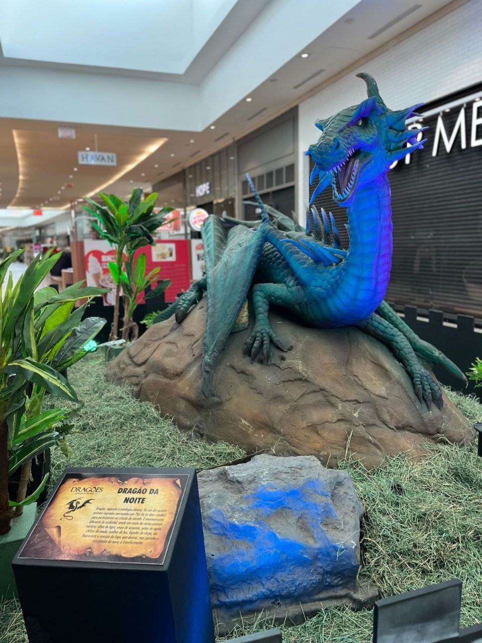 Exposição de dragões chega ao Nações Shopping e promete encantar todas as idades