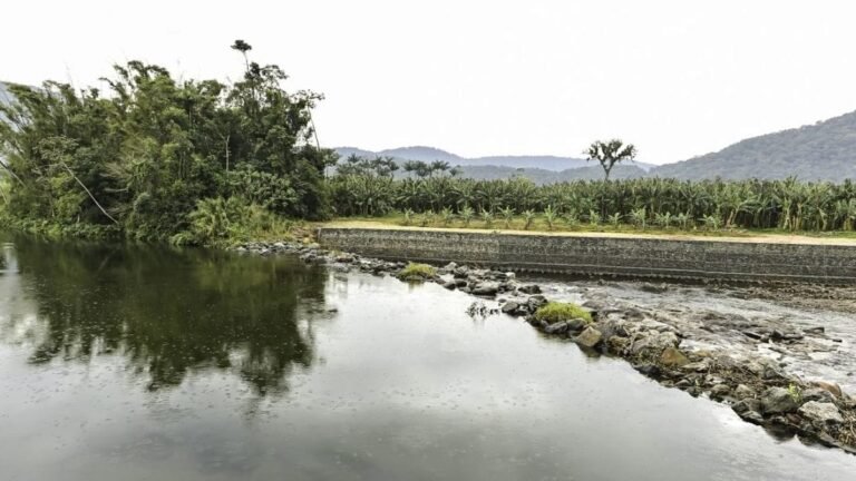 Joinville usará carvão para reduzir gosto e cheiro da água