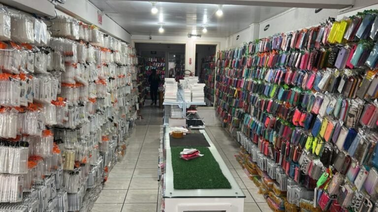 Operação apreende R$ 750 mil em produtos falsificados em SC