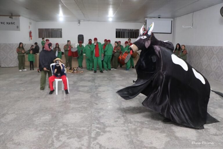 Boi de Mamão da Caputera será homenageado com Troféu Açorianidade