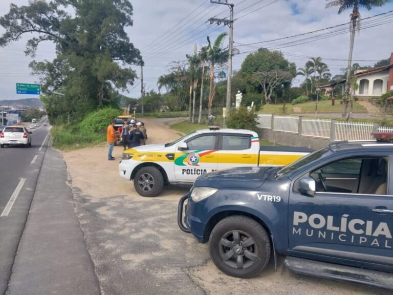 Defesa Civil retira árvore com risco de queda na SC-370