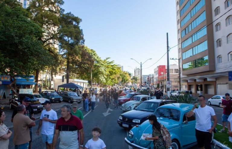 Dia D + Festival Viva Tubarão terá atrações, feirão de empregos e gastronomia