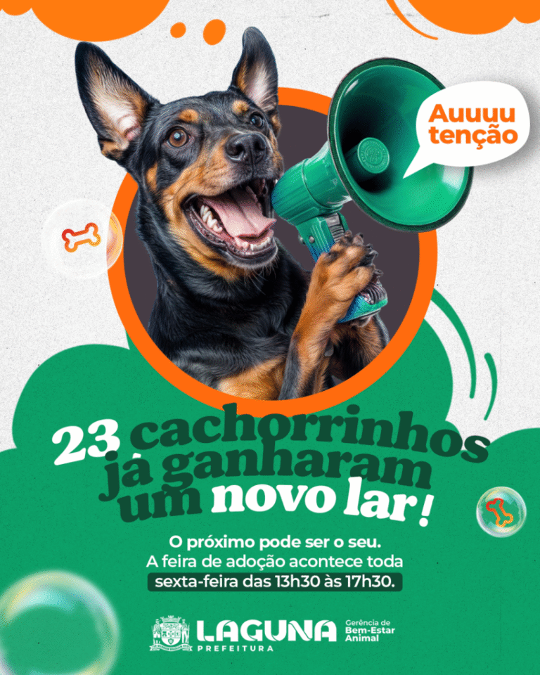 Feiras de adoção em Laguna já resultaram em 23 cães adotados