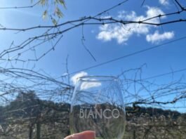 Vinícolas dos Vales da Uva Goethe brilham na Brasil Wine Cup 2025