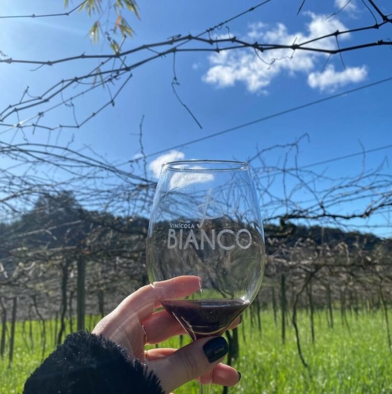 Vinícolas dos Vales da Uva Goethe brilham na Brasil Wine Cup 2025