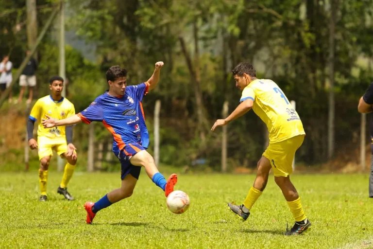 Definidos os semifinalistas do Campeonato Regional da LTF