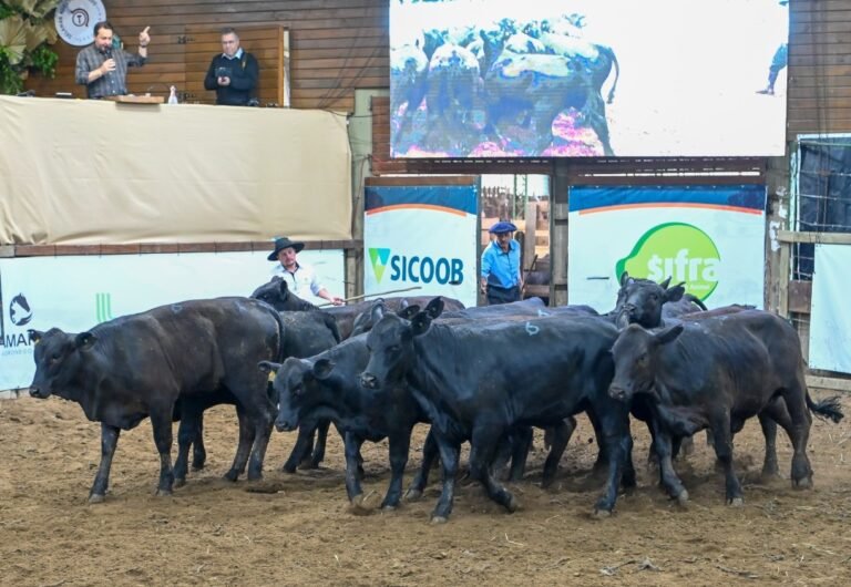 Expolages 2025 registra pista limpa e movimenta R$ 2,6 milhões em negócios