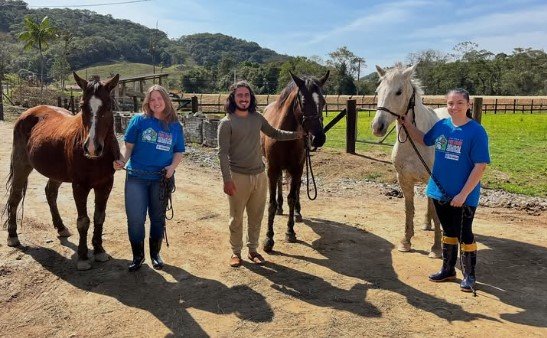 Dibea de Palhoça destaca importância da adoção responsável de cavalos resgatados