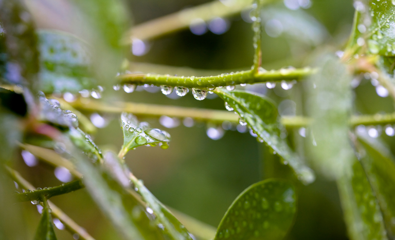 chuva MAPA Temporais em Santa Catarina entre domingo e segunda
