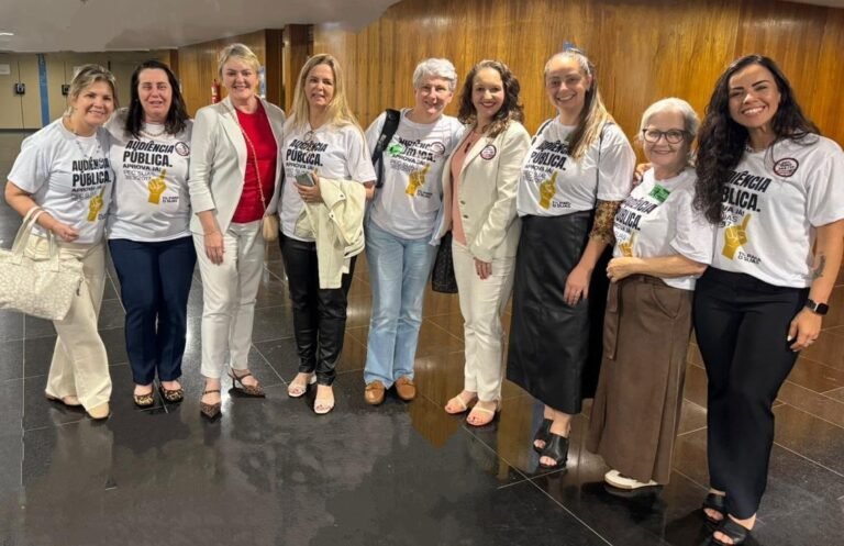 Araranguá participa de audiência em Brasília e reforça defesa da PEC 383/2017