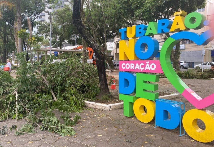 poda Praça Sete de Setembro Tubarão 1