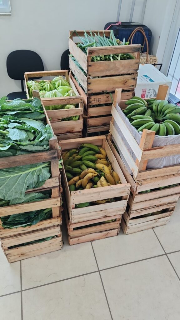 Programa de Aquisição de Alimentos segue aberto em Laguna até 2026