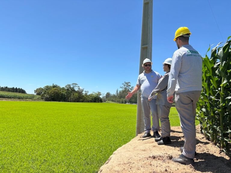 Cersul amplia modernização da rede elétrica com nova estrutura trifásica compacta