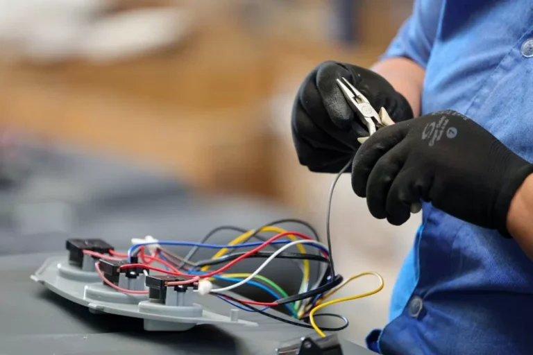 Santa Catarina registra recorde com mais de 256 mil novas empresas em 2025