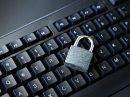 Cinco dicas de segurança de dados para empresas