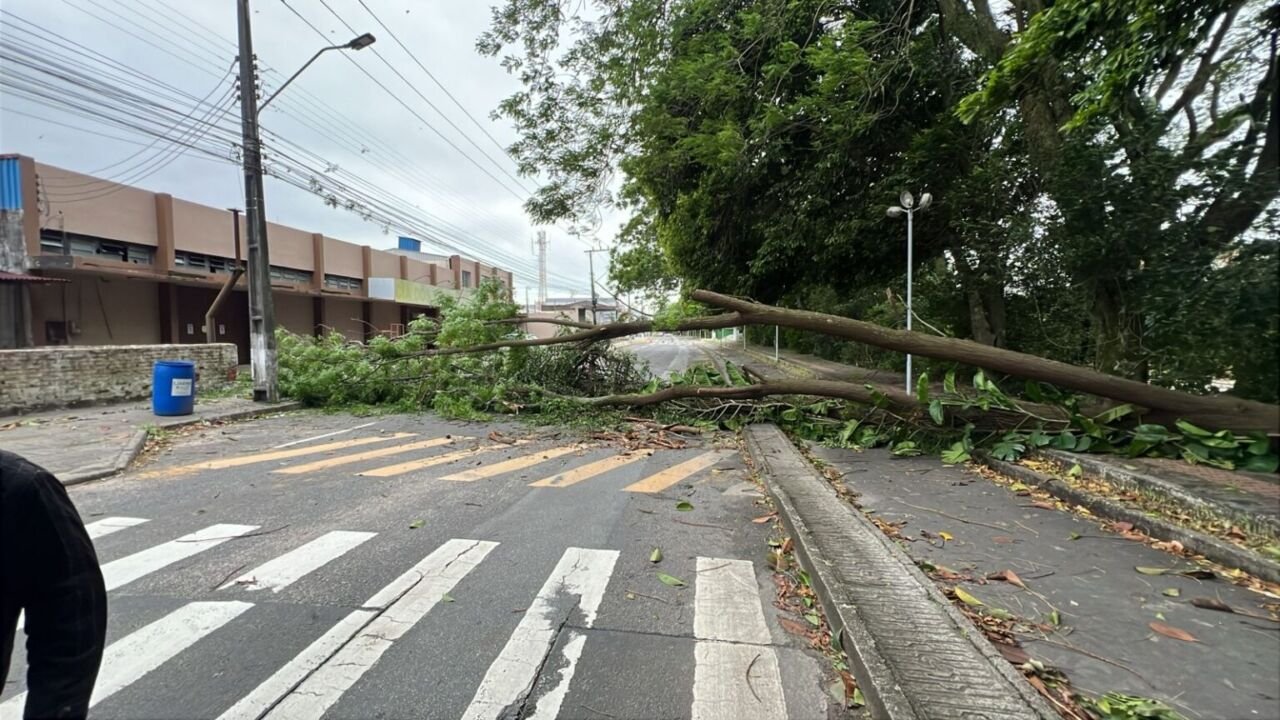 Ciclone no mar causa ventos e danos em Tubarão neste sábado