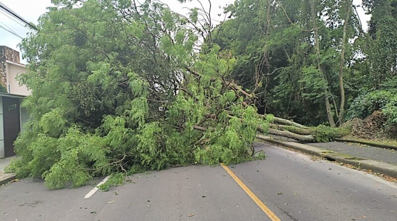 Ciclone no mar causa ventos e danos em Tubarão neste sábado