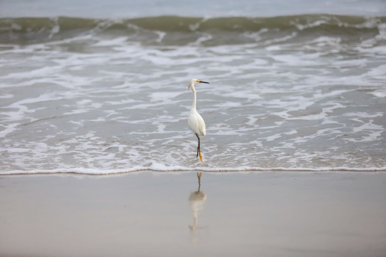 balneabilidade 75,68% das praias estão próprias para banho