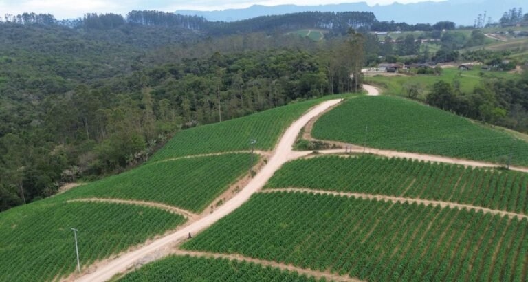 Orleans concede bônus fiscal de até R$ 1.200 a produtores rurais