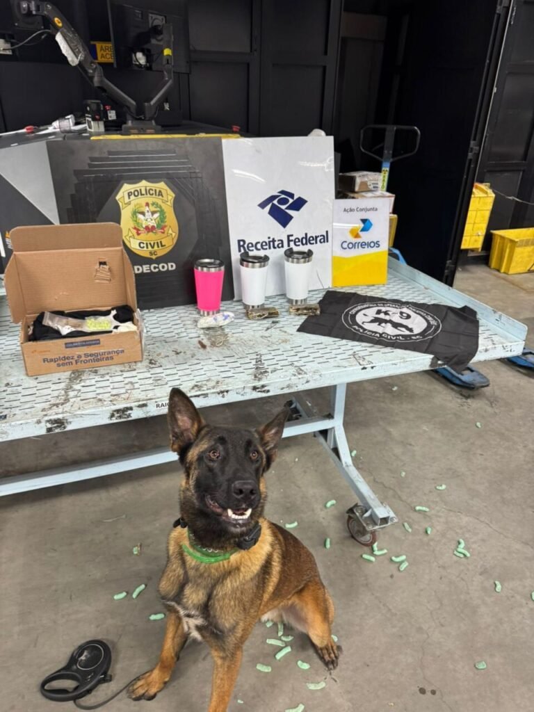 Operação “Envio Seguro” apreende drogas enviadas pelos Correios na Capital