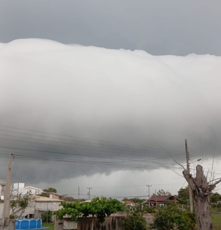 Fortes rajadas de vento causam estragos em Laguna