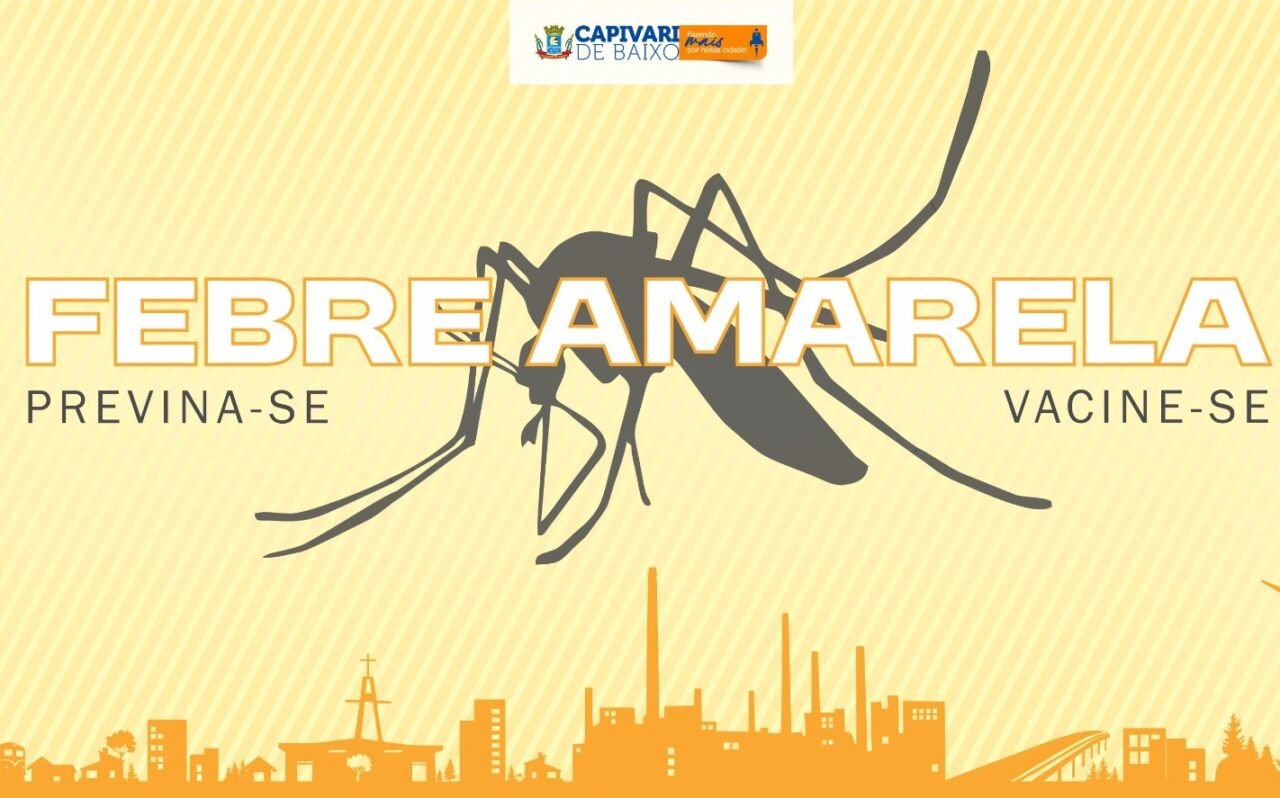 mosquito vetor da febre amarela a