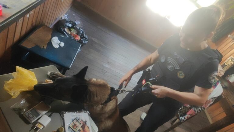 Polícia Civil prende mulher em flagrante por tráfico de drogas no Farol de Santa Marta