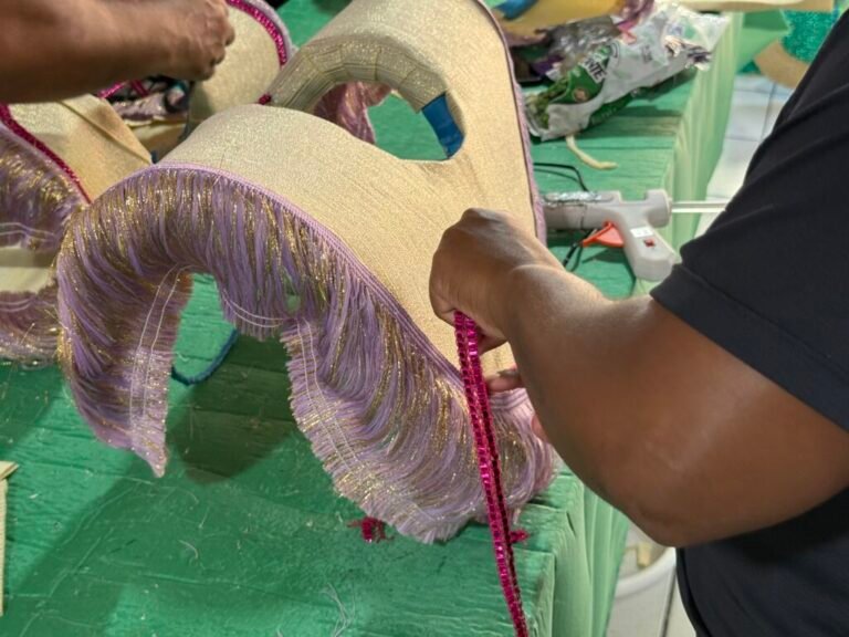 Após 13 anos, desfiles das escolas de samba retornam ao Carnaval de Laguna