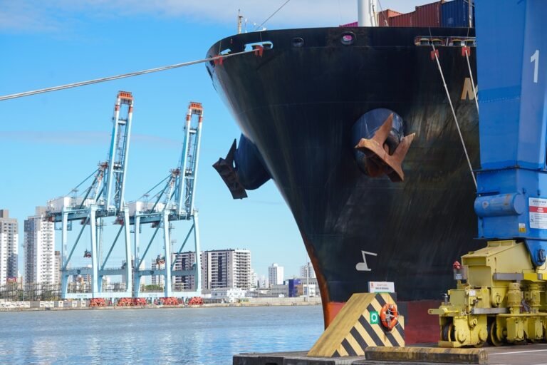 Exportações de Santa Catarina crescem 4,4% e alcançam recorde histórico em 2025