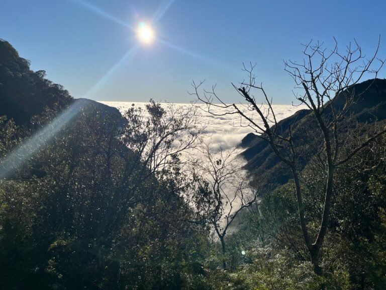 frio fora de época derruba temperaturas a 3 graus no verão