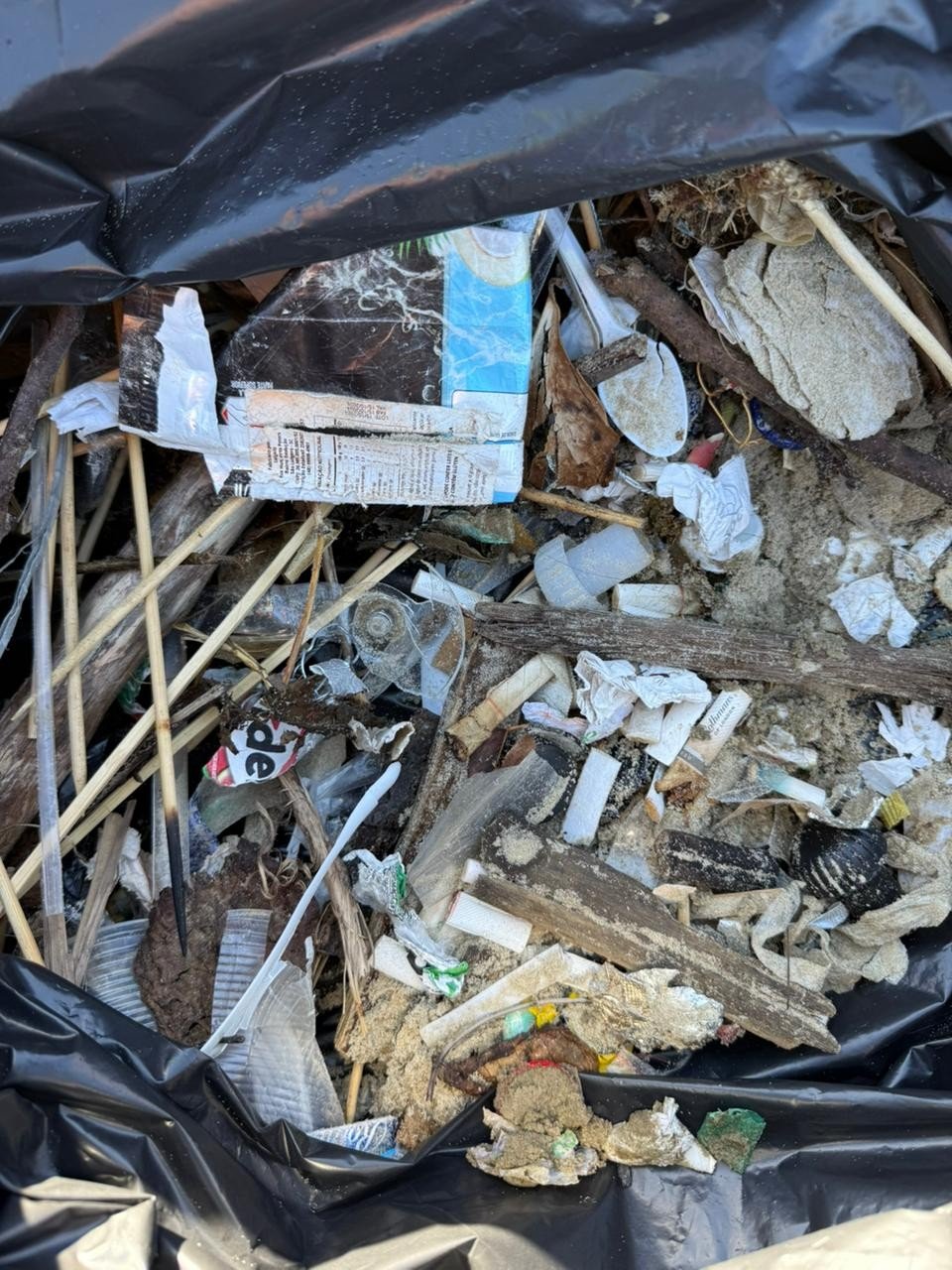 mutirão de limpeza na Praia do Mar Grosso