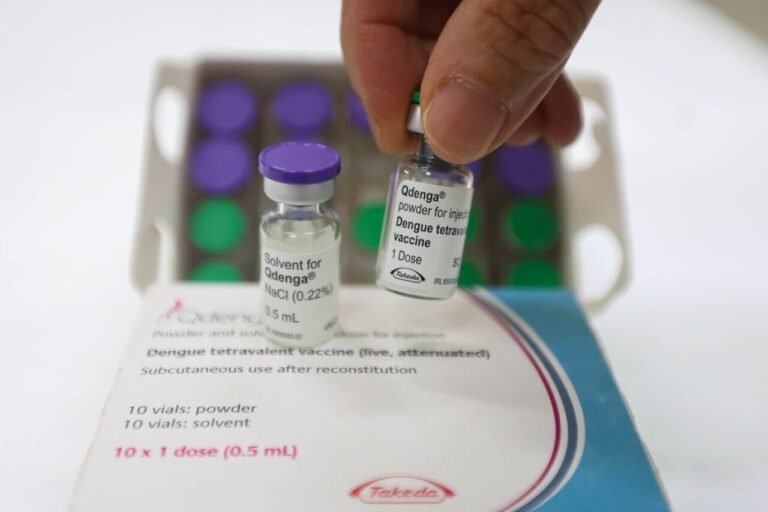 vacina contra a dengue em Santa Catarina