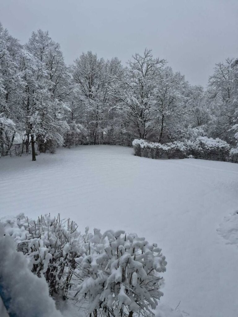Quando a Neve Finalmente Chegou ao Meu Coração 