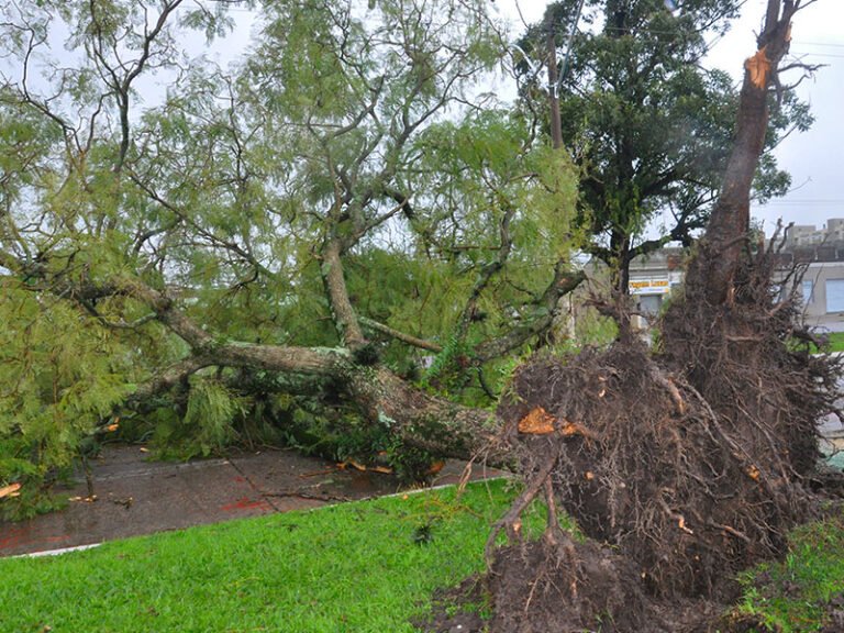 Tornado em Pelotas (RS) causa destruição e deixa rastro de danos
