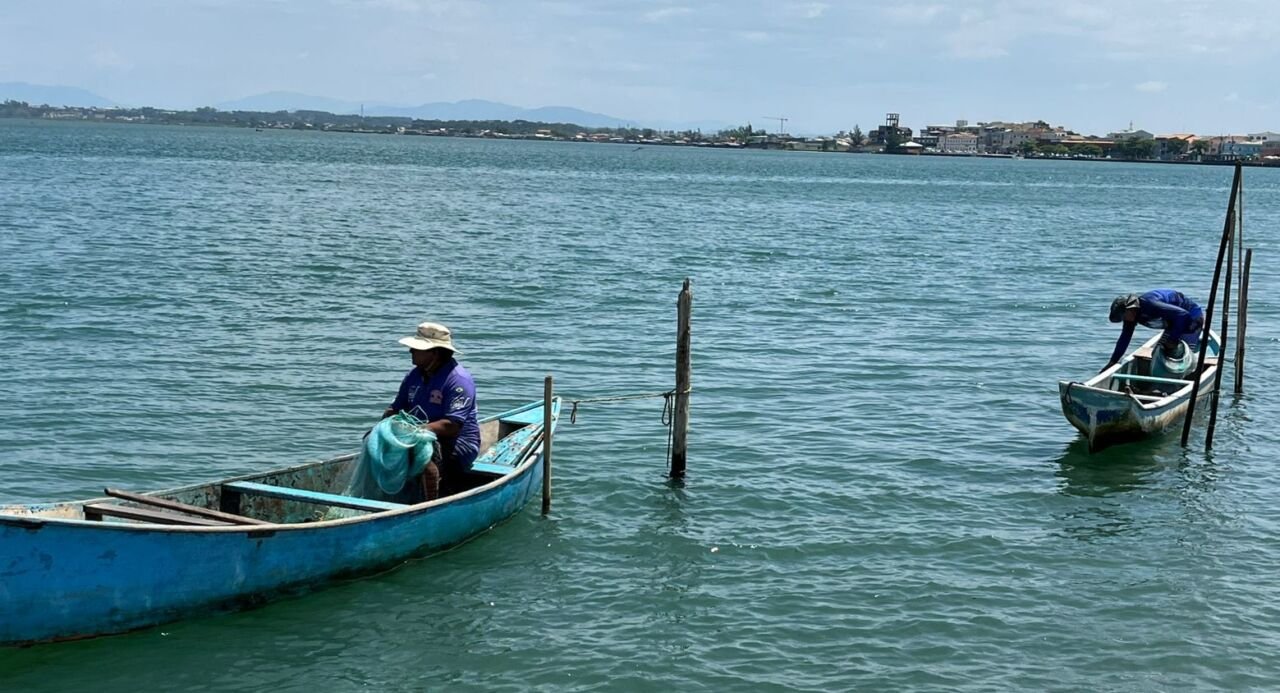Pesca com botos em Laguna