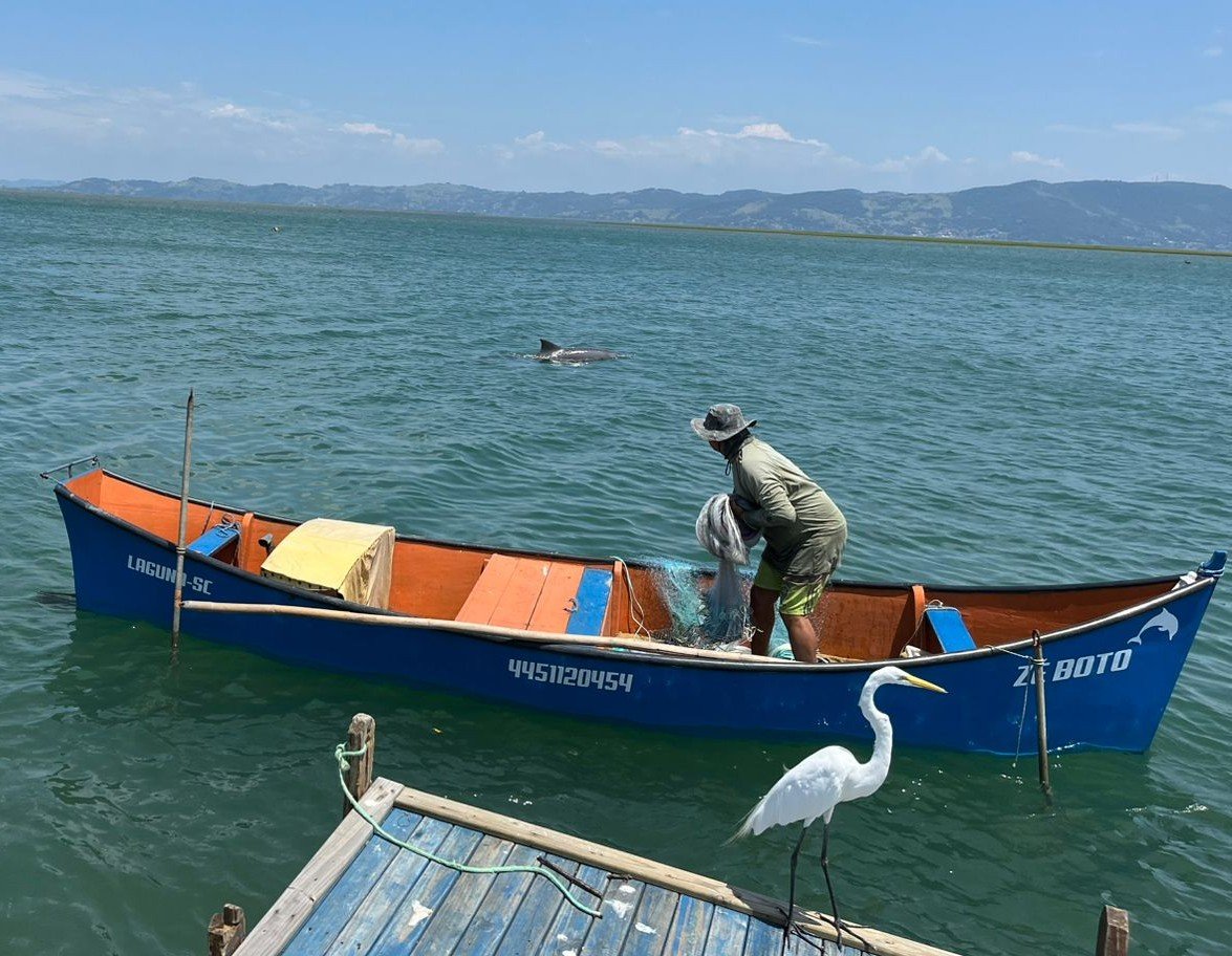 Pesca com botos em Laguna