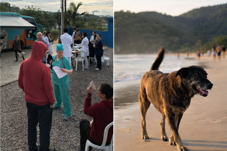 Pescaria Brava propõe nome Cão Orelha para Centro de Saúde Animal