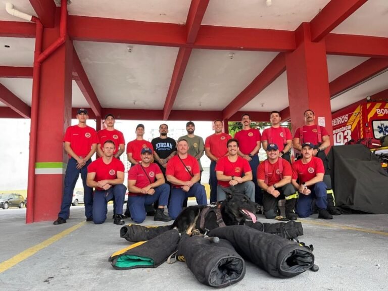 Bombeiros realizam treinamento para captura e manejo seguro de cães