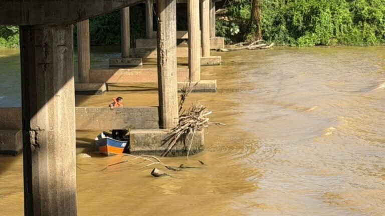 Prefeitura remove troncos e entulhos do Rio Tubarão