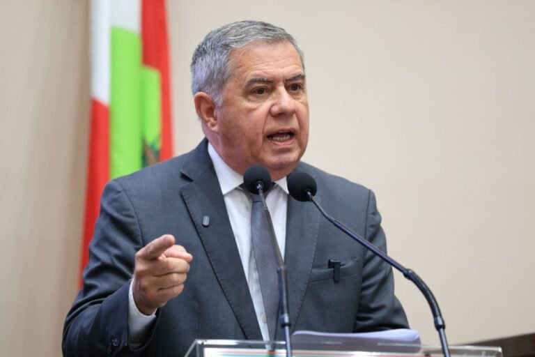 crise na produção de cebola SC