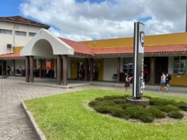 bolsas de estudo Dehon