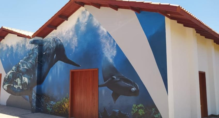 Museu da Baleia de Imbituba retoma horário padrão de atendimento