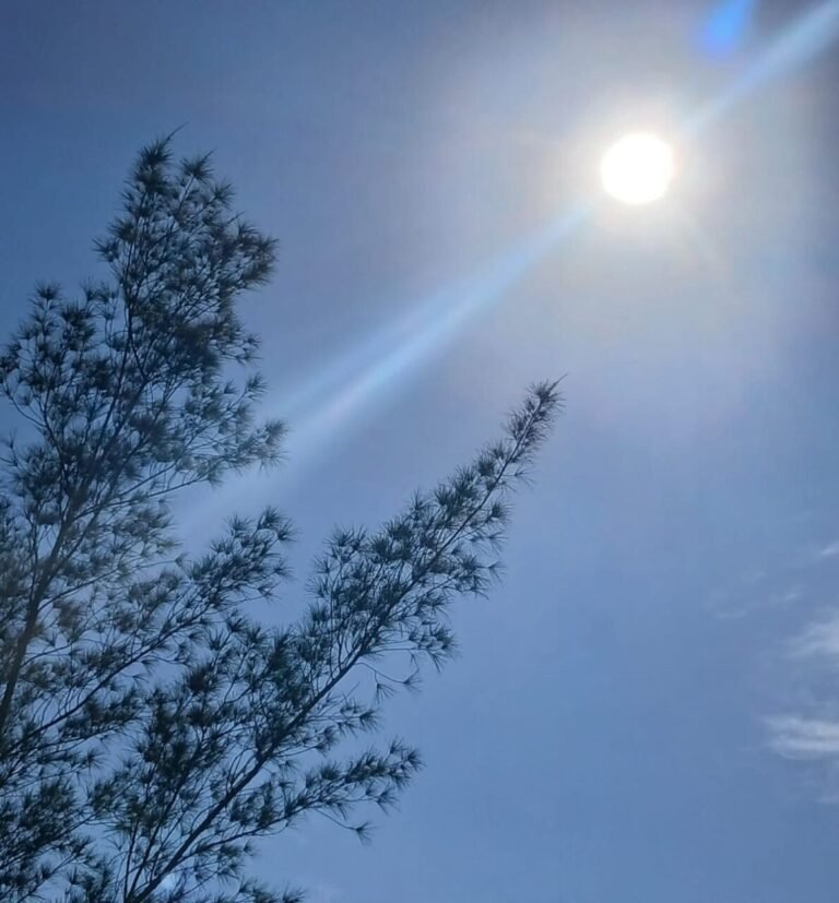 Previsão do tempo em Tubarão indica chuva leve e máxima de 27°C nesta quarta (18)