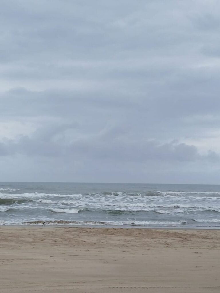 Previsão do tempo 14/02/2026: chuva marca o sábado no Sul de SC