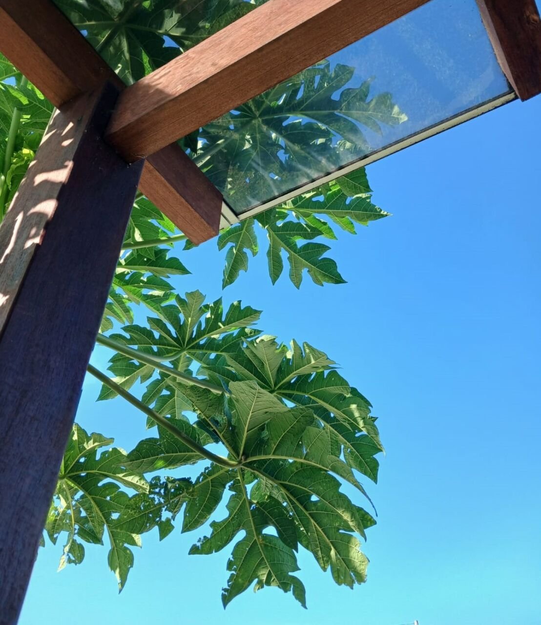 previsão do tempo hoje 19 a