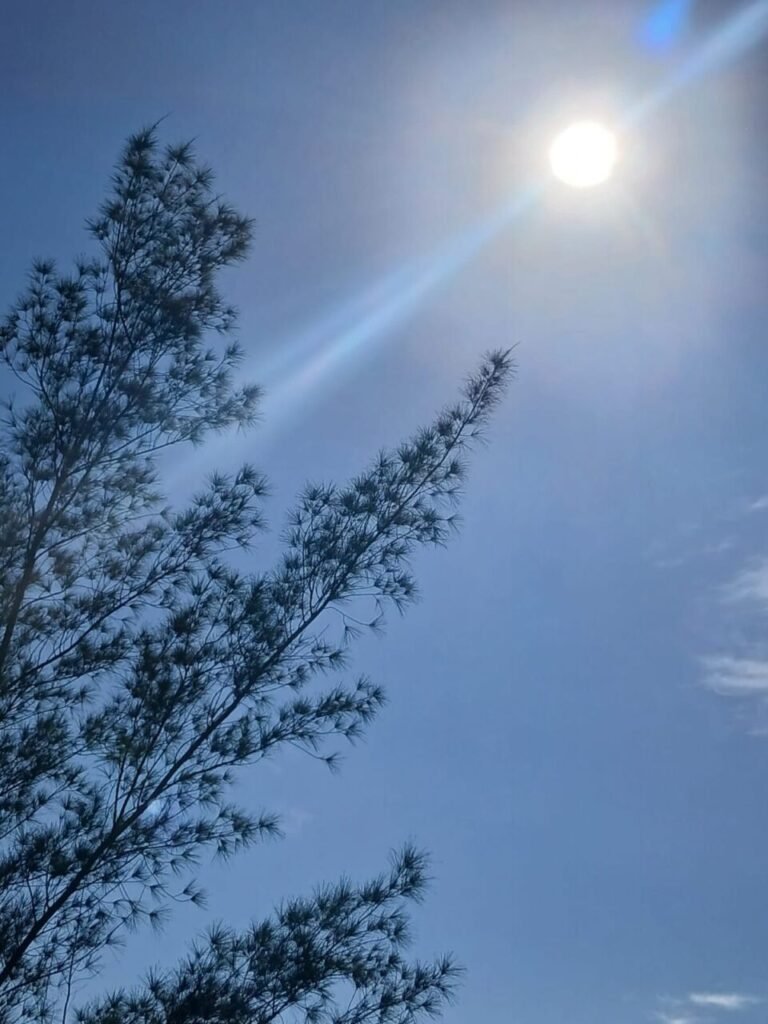 Previsão do tempo no Sul de SC: sol entre nuvens e calor nesta terça