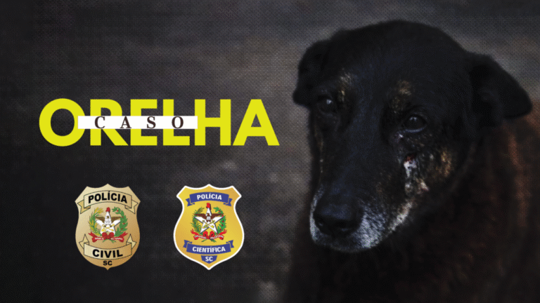 Vídeo expõe contradição de adolescente em caso do cão Orelha em SC