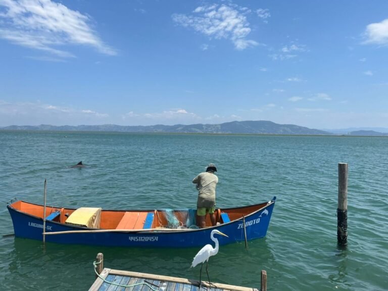 Previsão do tempo: quarta-feira será de sol, calor e pouca chuva no Sul de SC